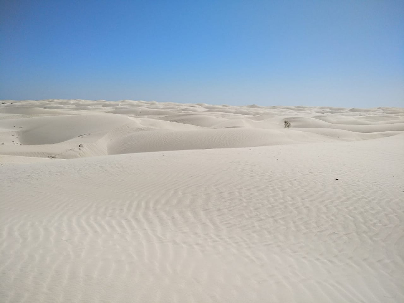 Grande découverte d'Oman